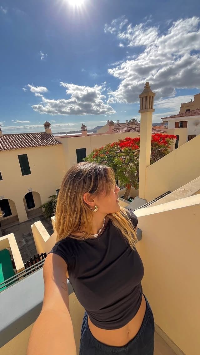 Chloé, grosse chienne française exposée