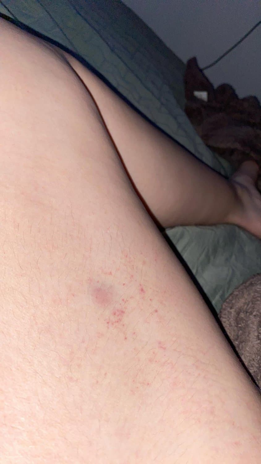 Danish painslut Rebecca