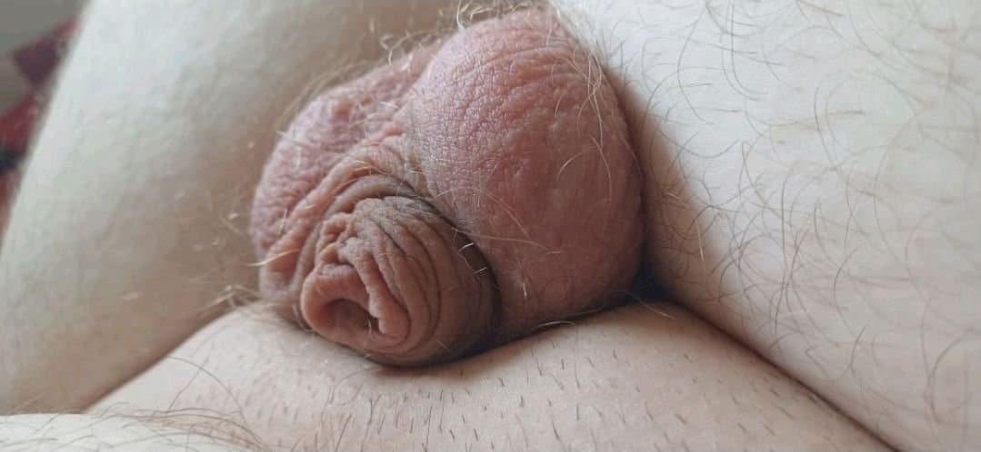 Public Disgrace Ayden