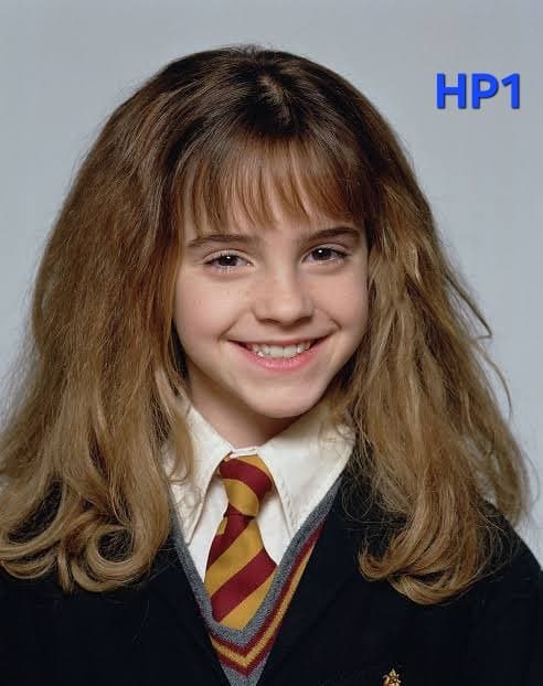 In which Harry Potter was hermione the best no wrong answers