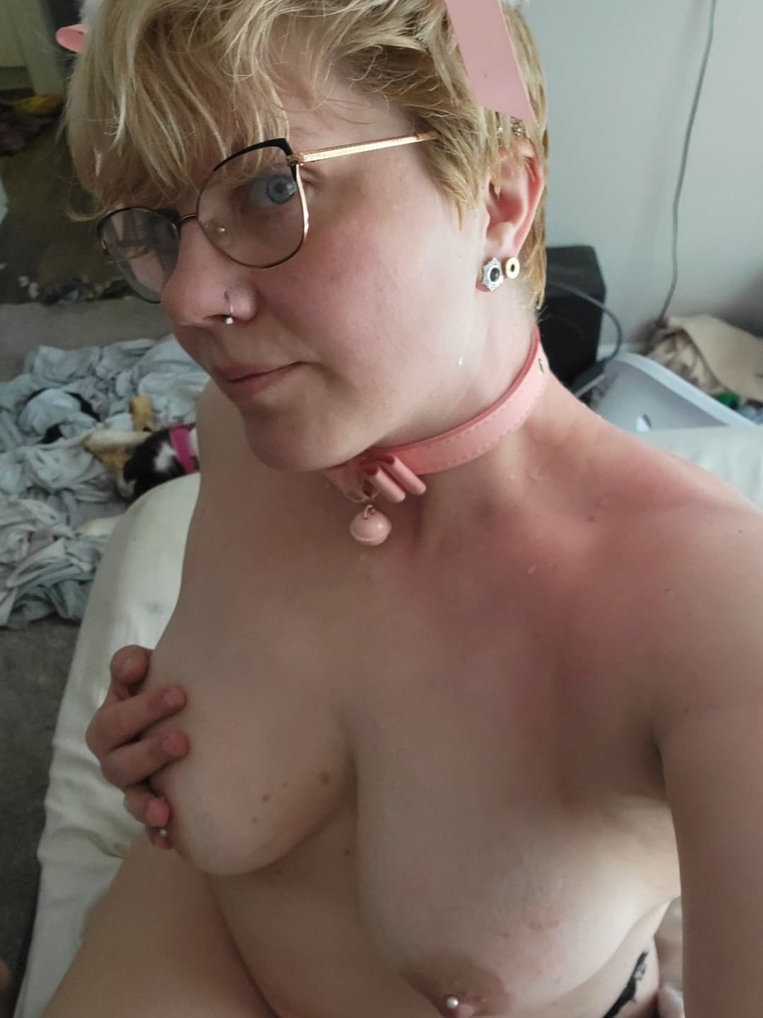 Click to view full size Introducing Criquet