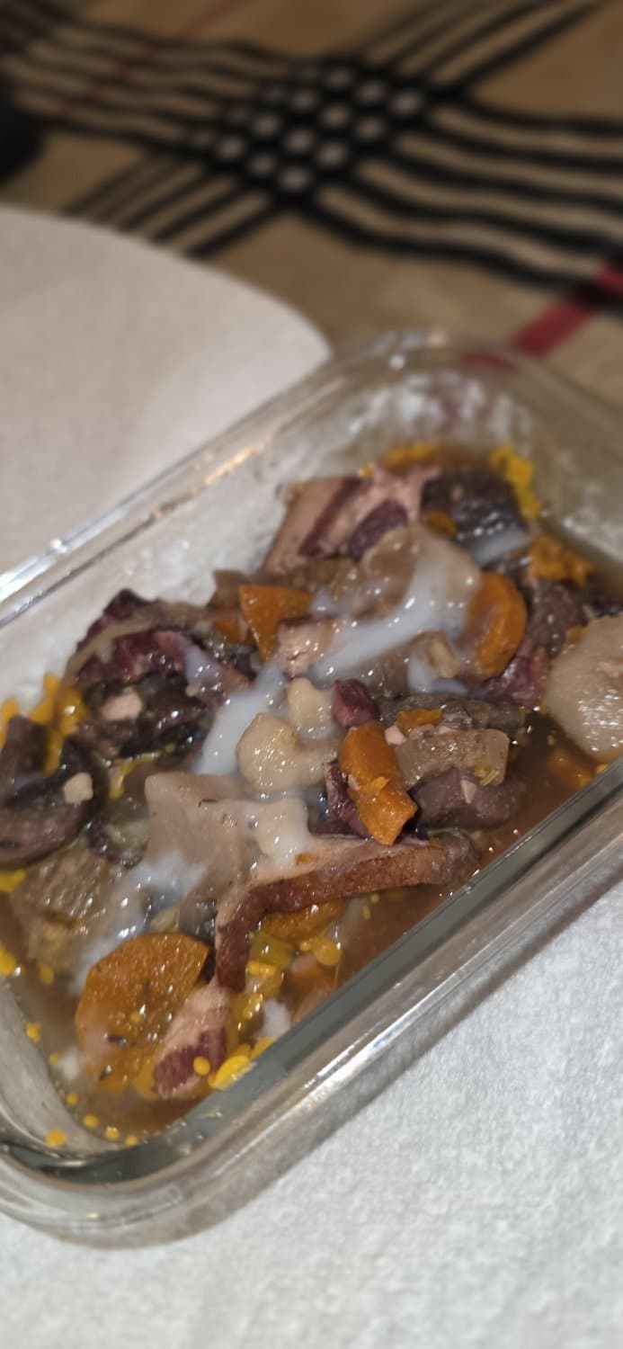 Cum in Adult Stepdaughter various Food Items?