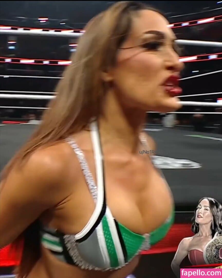 Nikki bella Brie bella