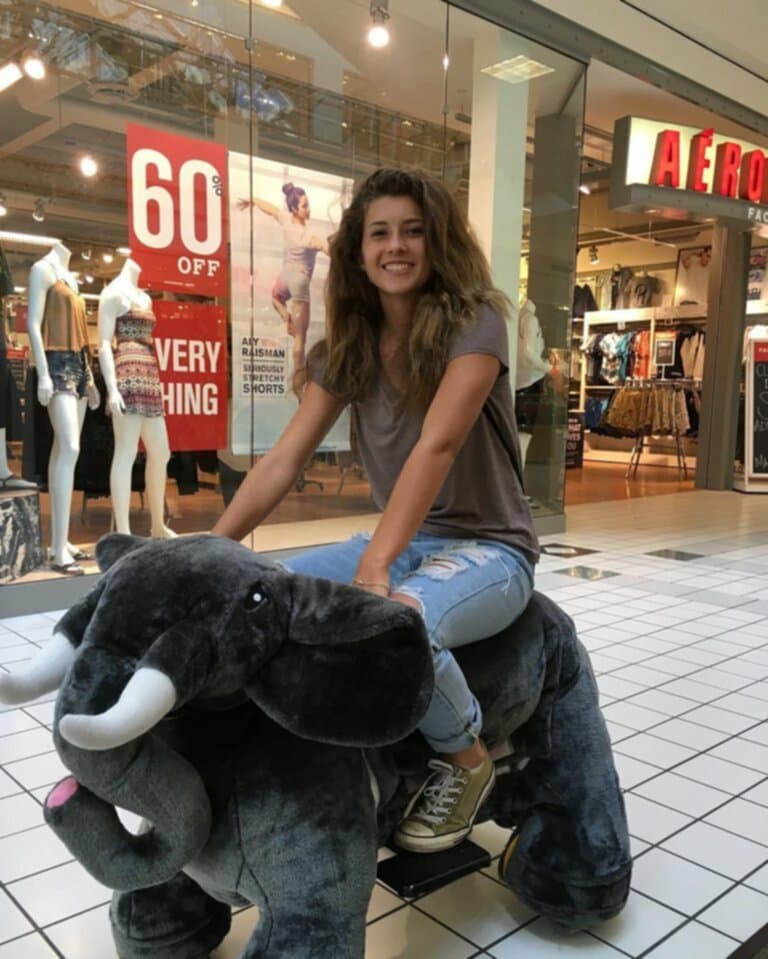 Click to view full size Halle