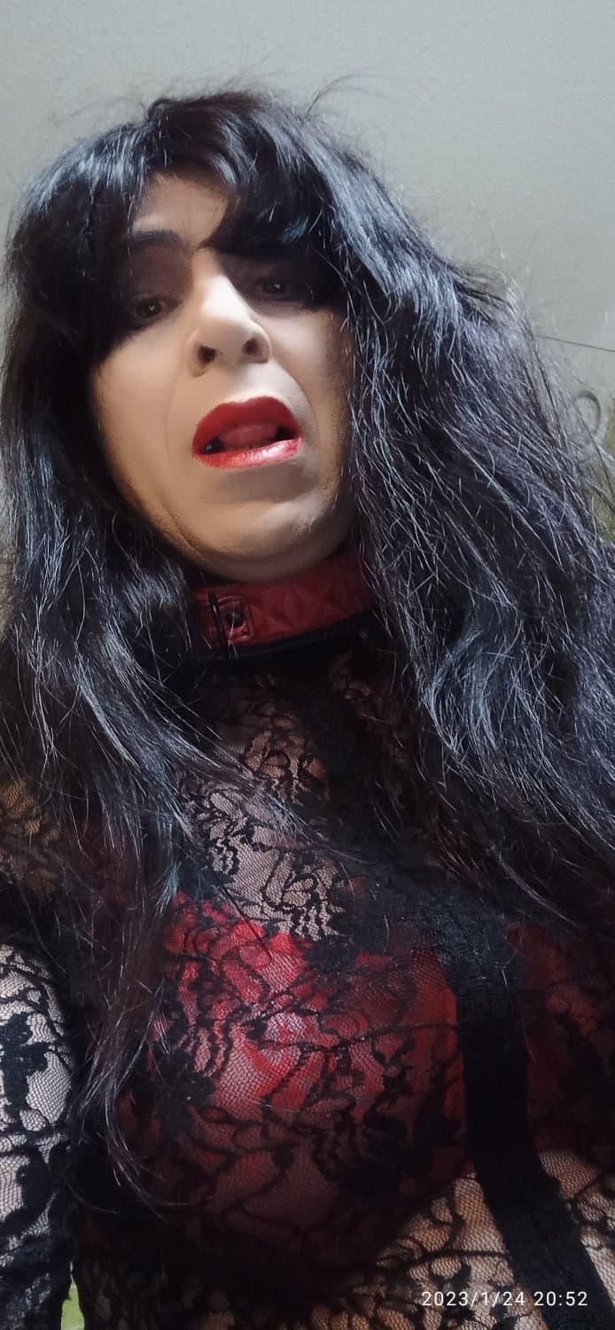 Lopette Sylvie  rentre faire la pute 1