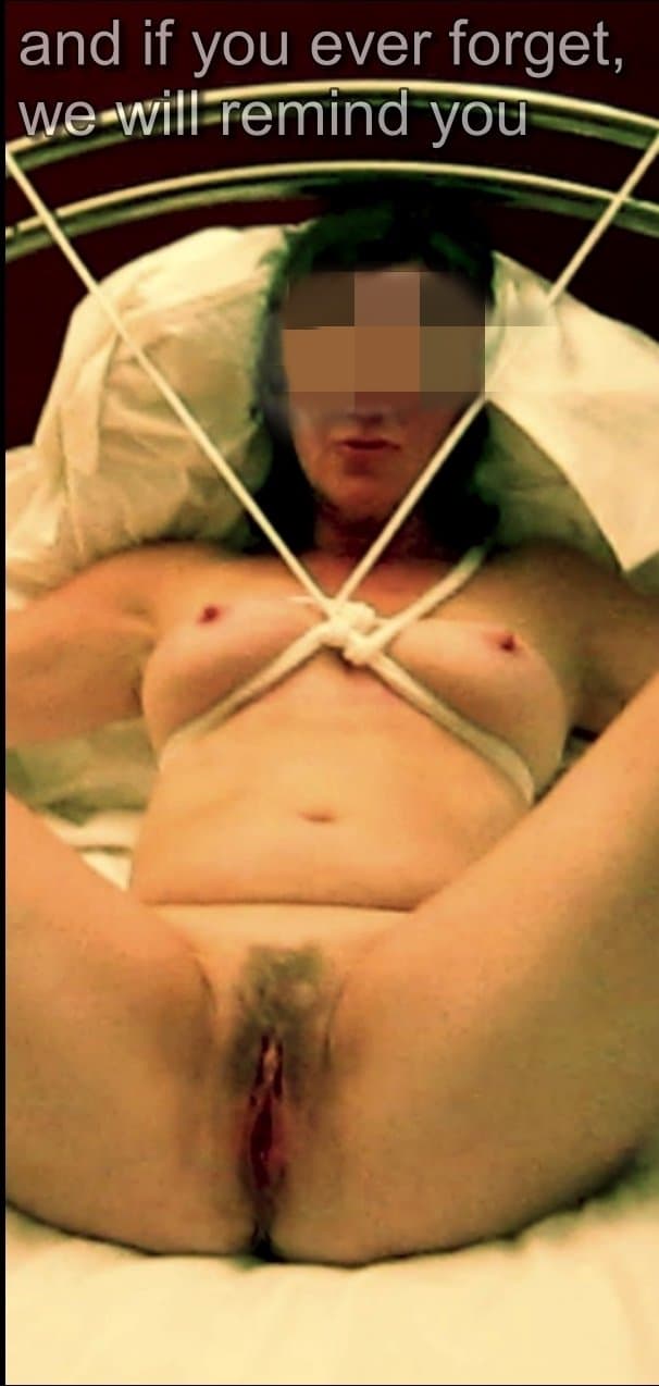 trained into service