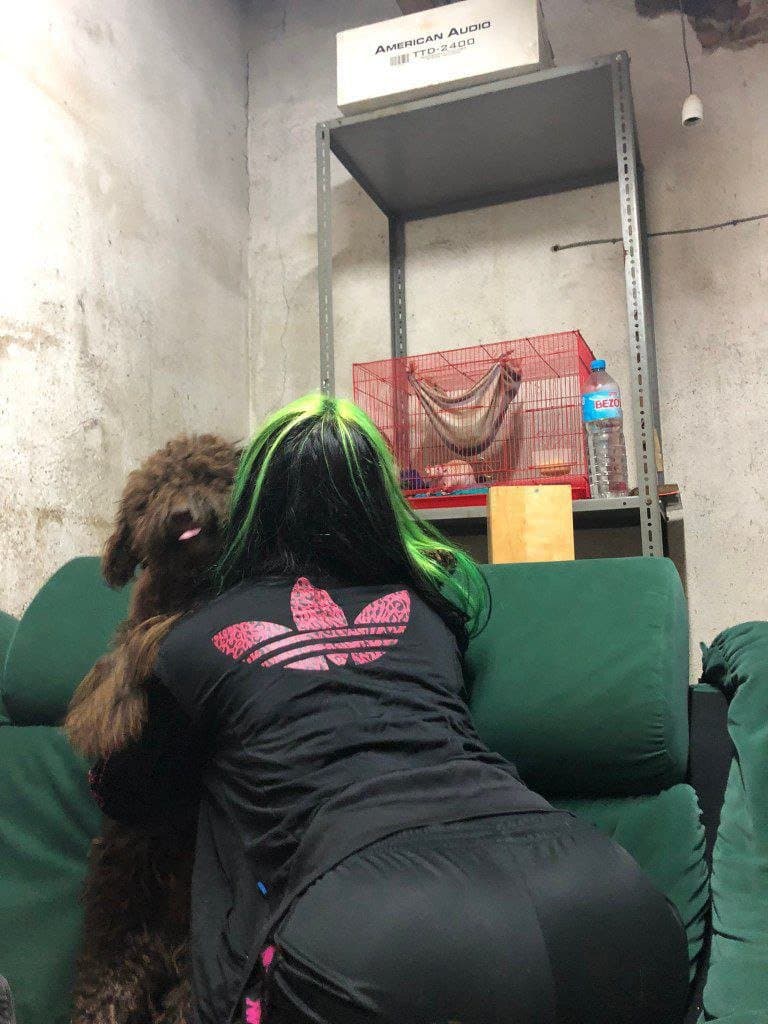 Cornudo me entrega a la putita de Danae su crush