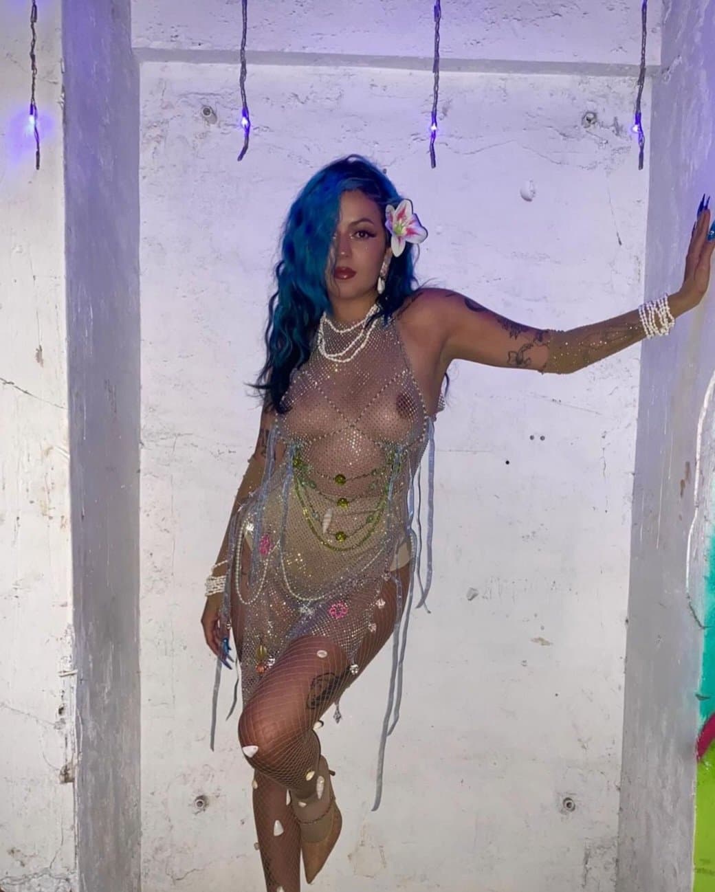 Malayedra chilena gogodancer