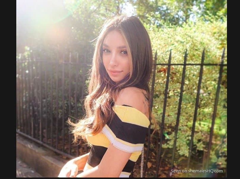 stella fontes 51-497