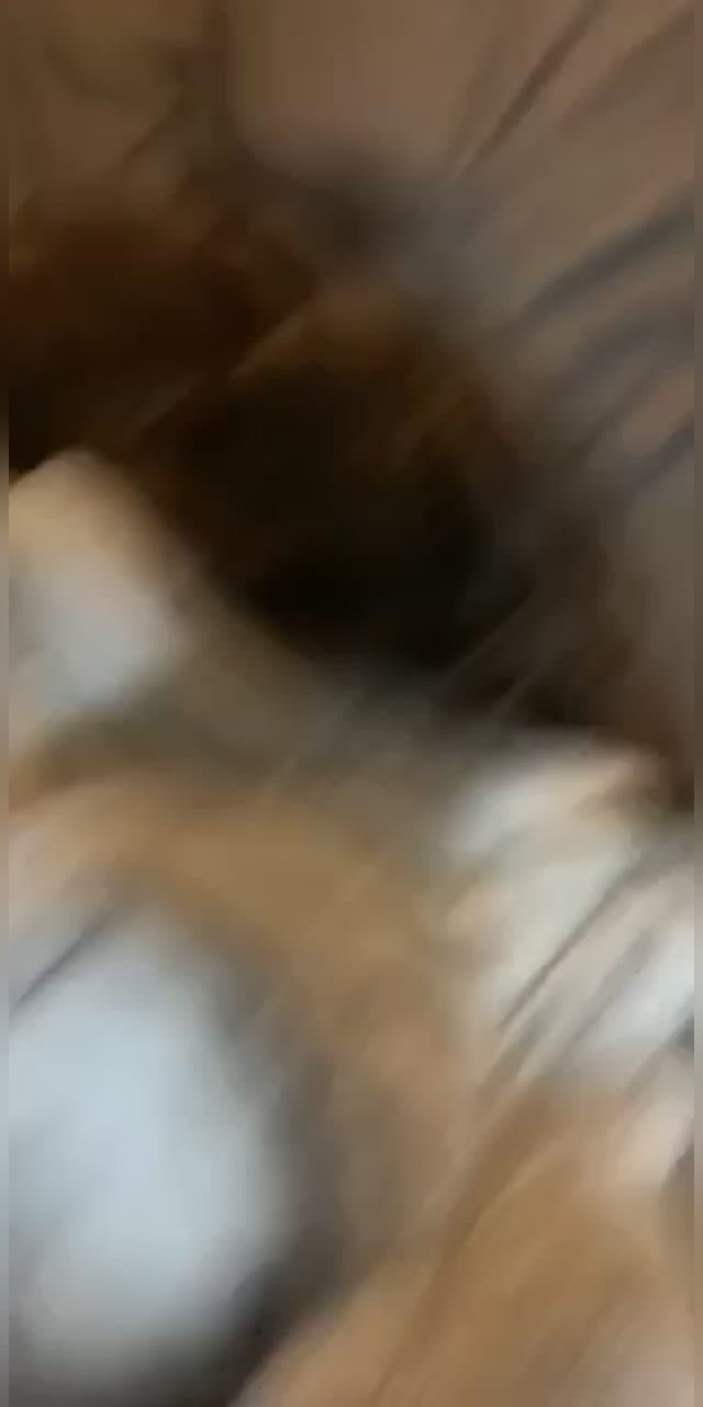 Blowin rails off her ass to put my dick in her pussy but she say no don’t. But takes it anyway