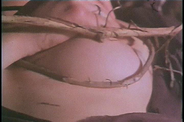 The Trees! They’re Alive!!! (Part 3)