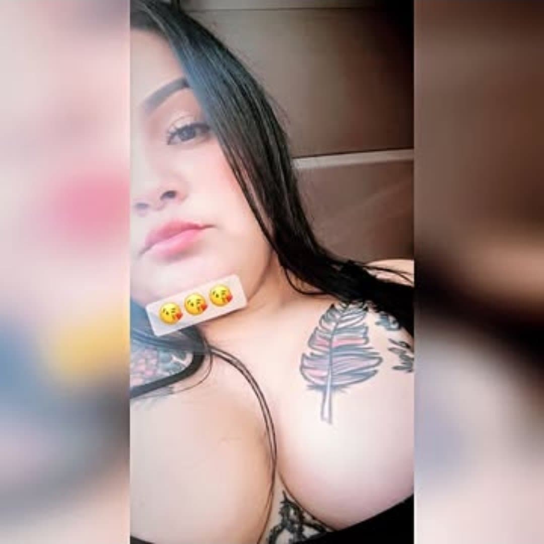 Click to view full size Zorra de San Nicolas