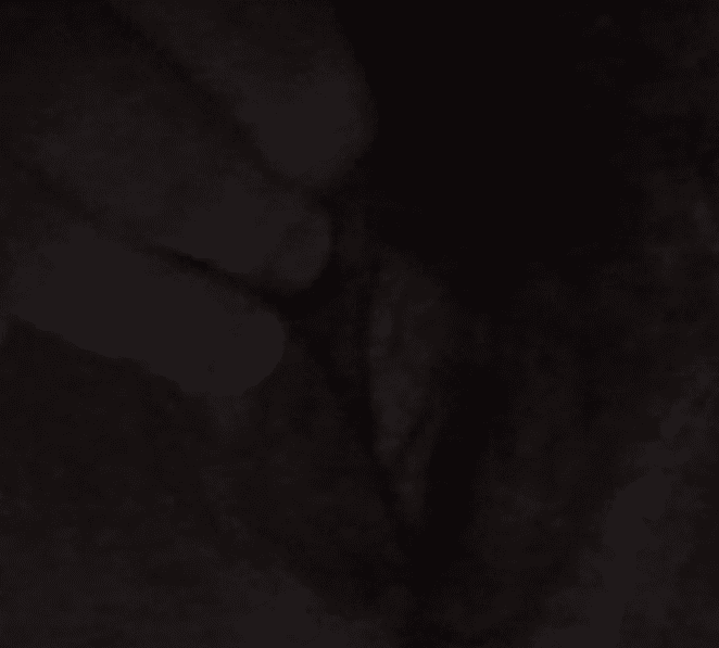 some random girl on monkey showing her tits and cat