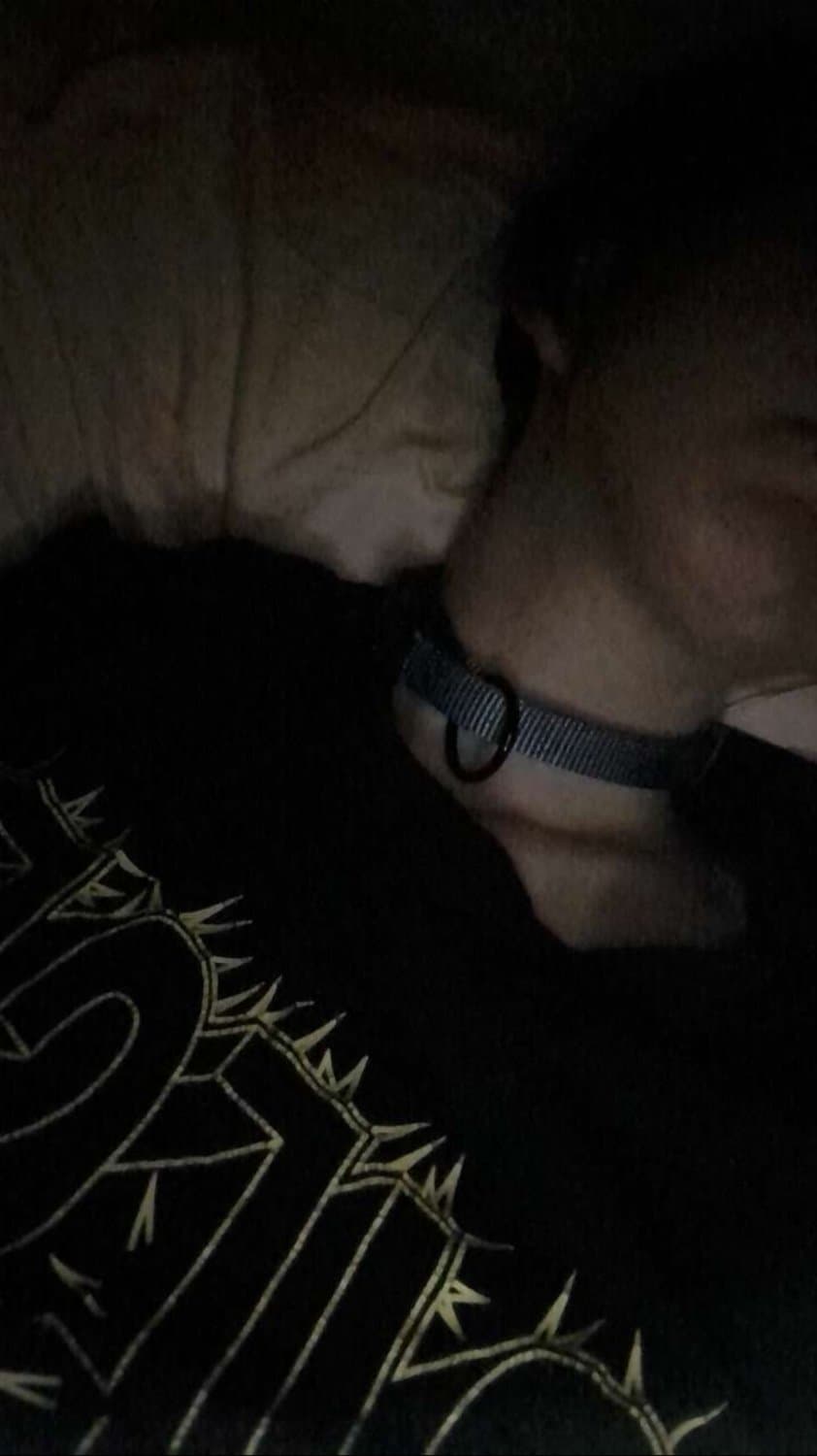 Humiliation junkie, Lennox Dean Gunther needs to be a webslut! Discord/Telegram demon_noxxy