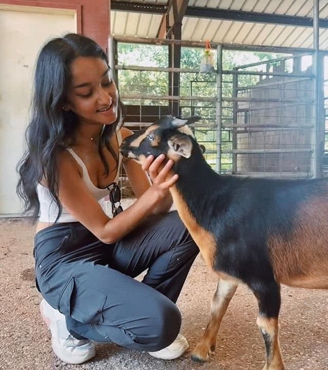 Click to view full size Starlight