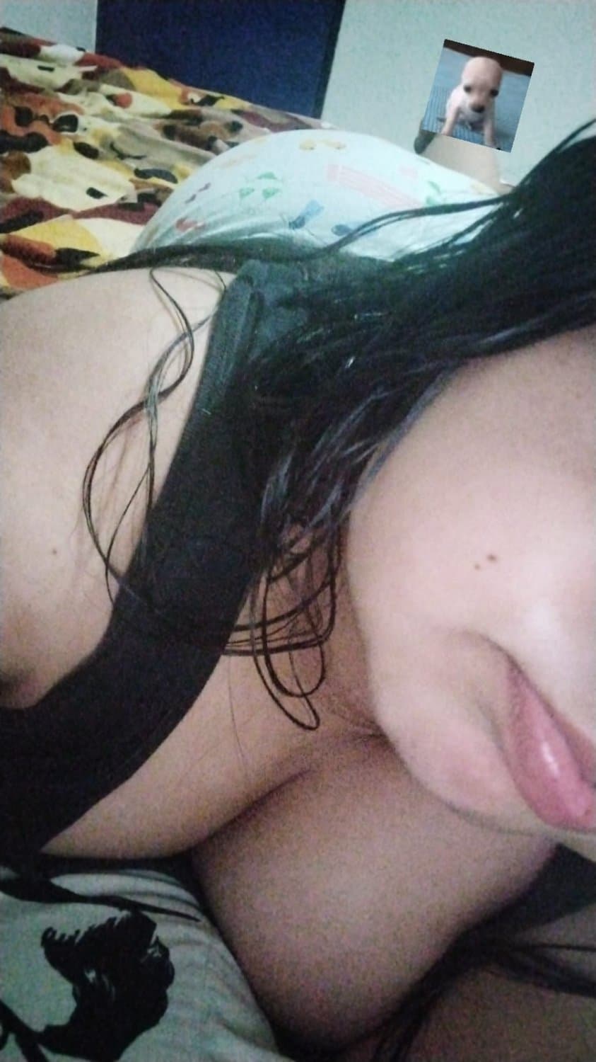 Click to view full size Gordi buena