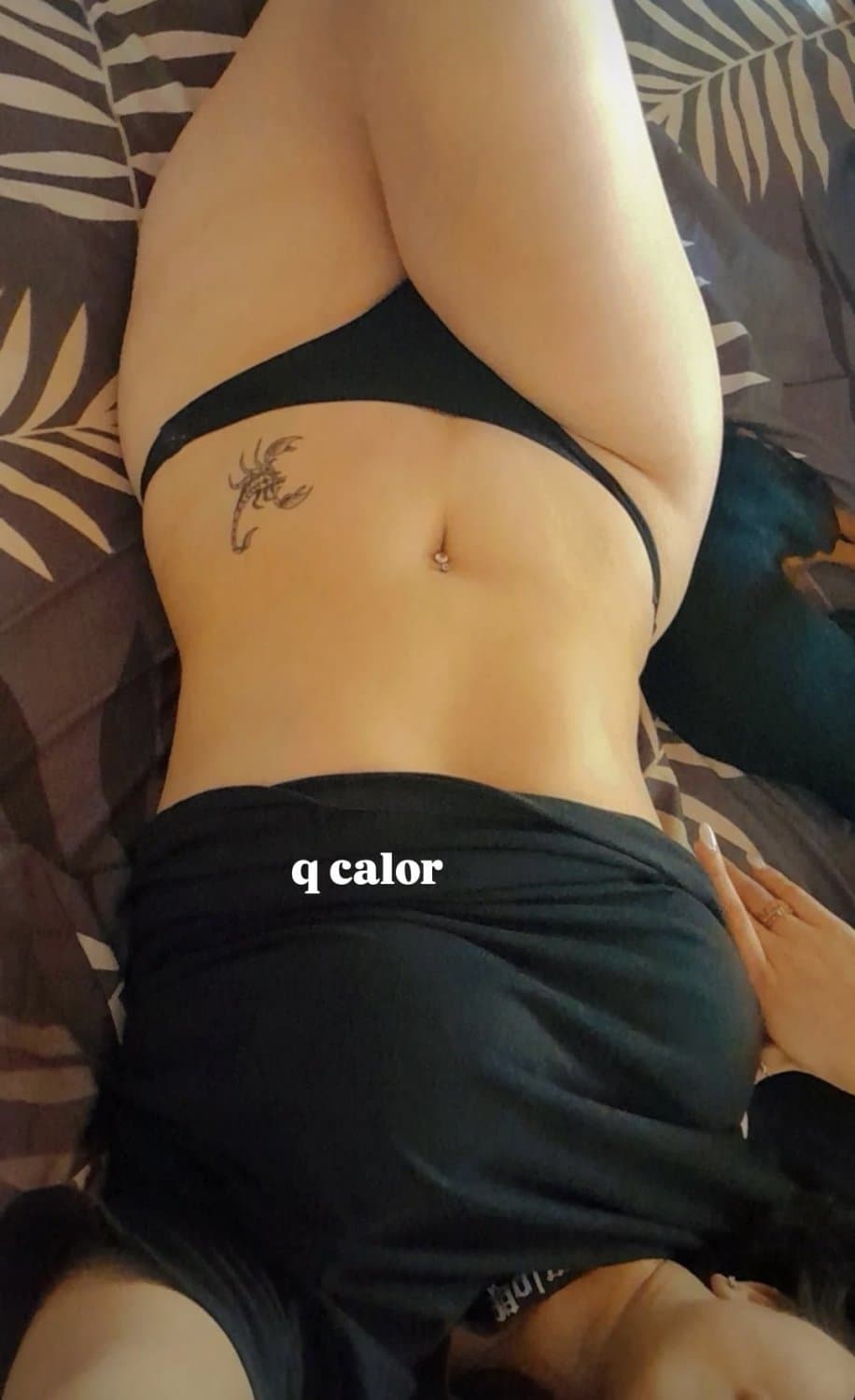 Cami Falcón, aportes de un seguidor