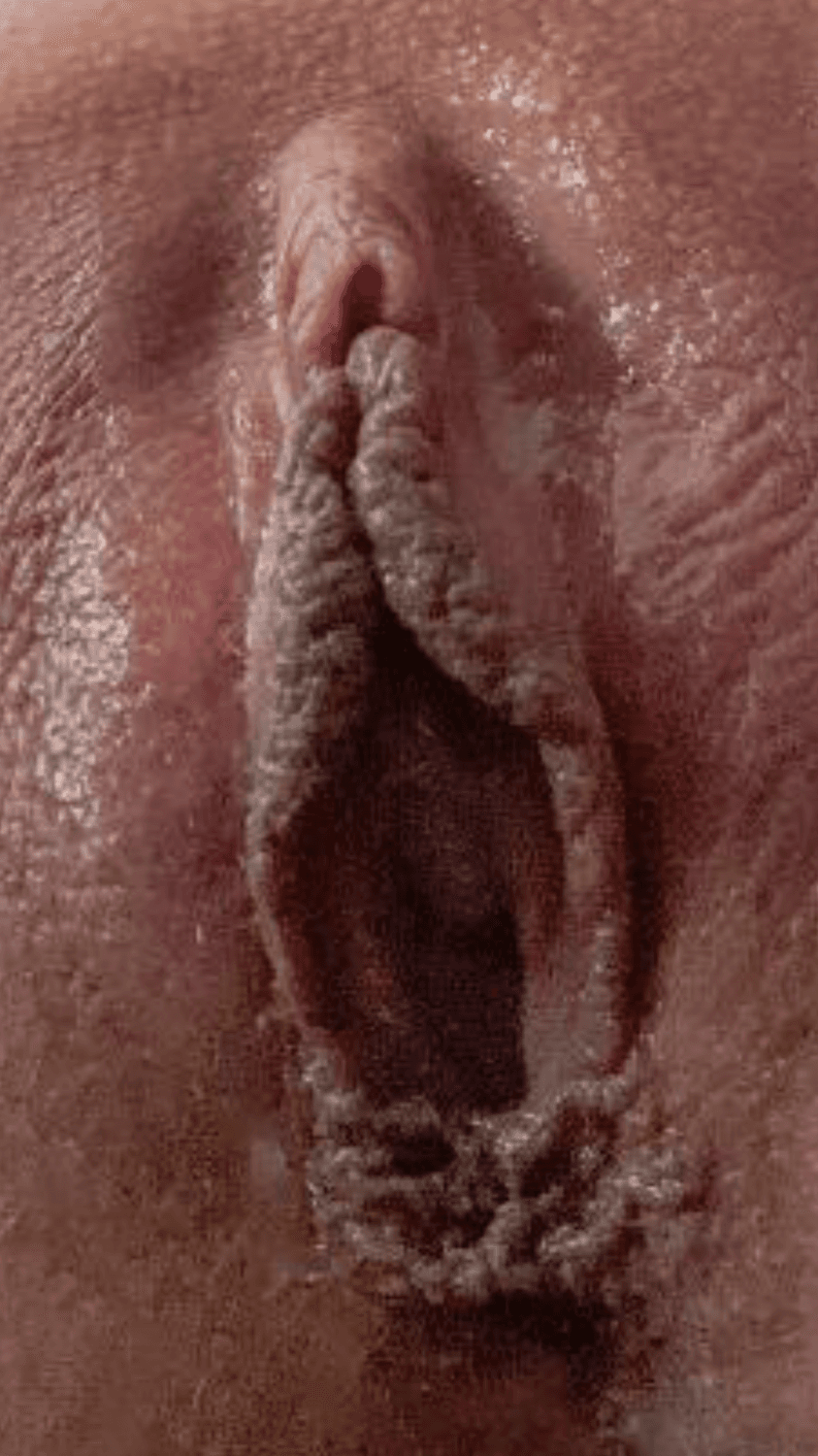 Dreamy Butch Tom boy with perfect tits and a flowered cunt