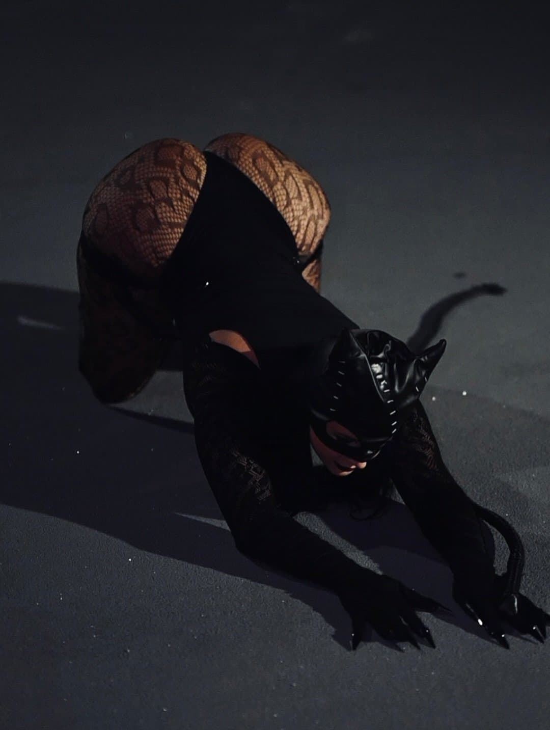 Latin Catwoman! ?‍⬛