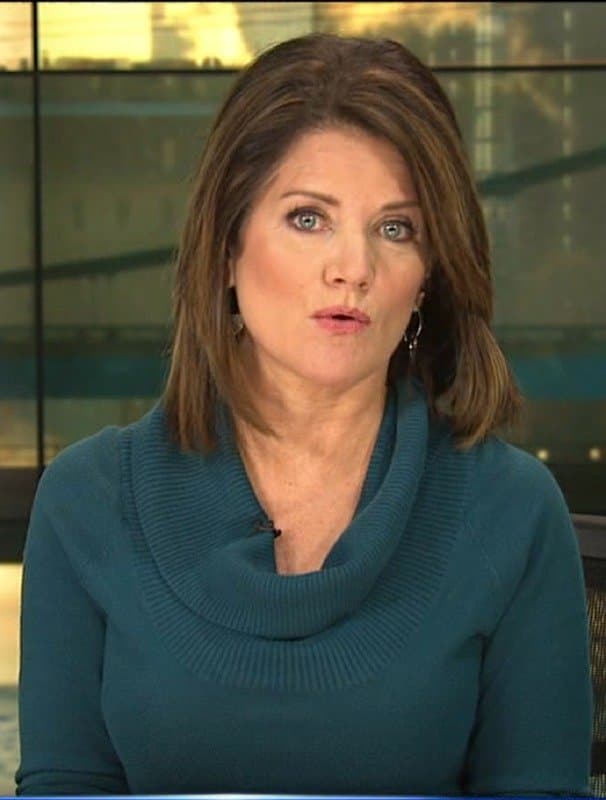 Alix Kendall TV News Milf