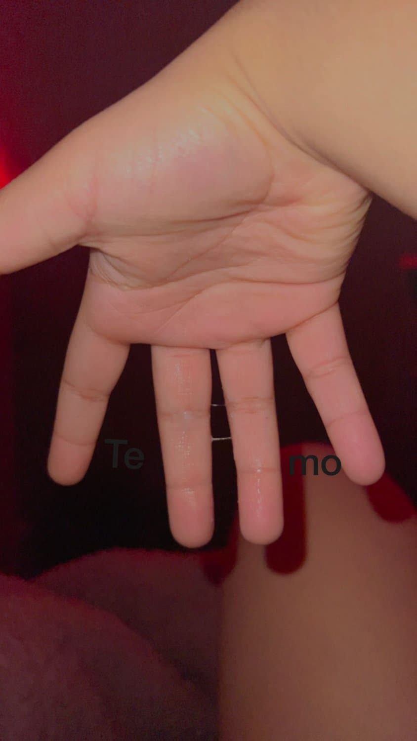 Gordibuena regia tetona