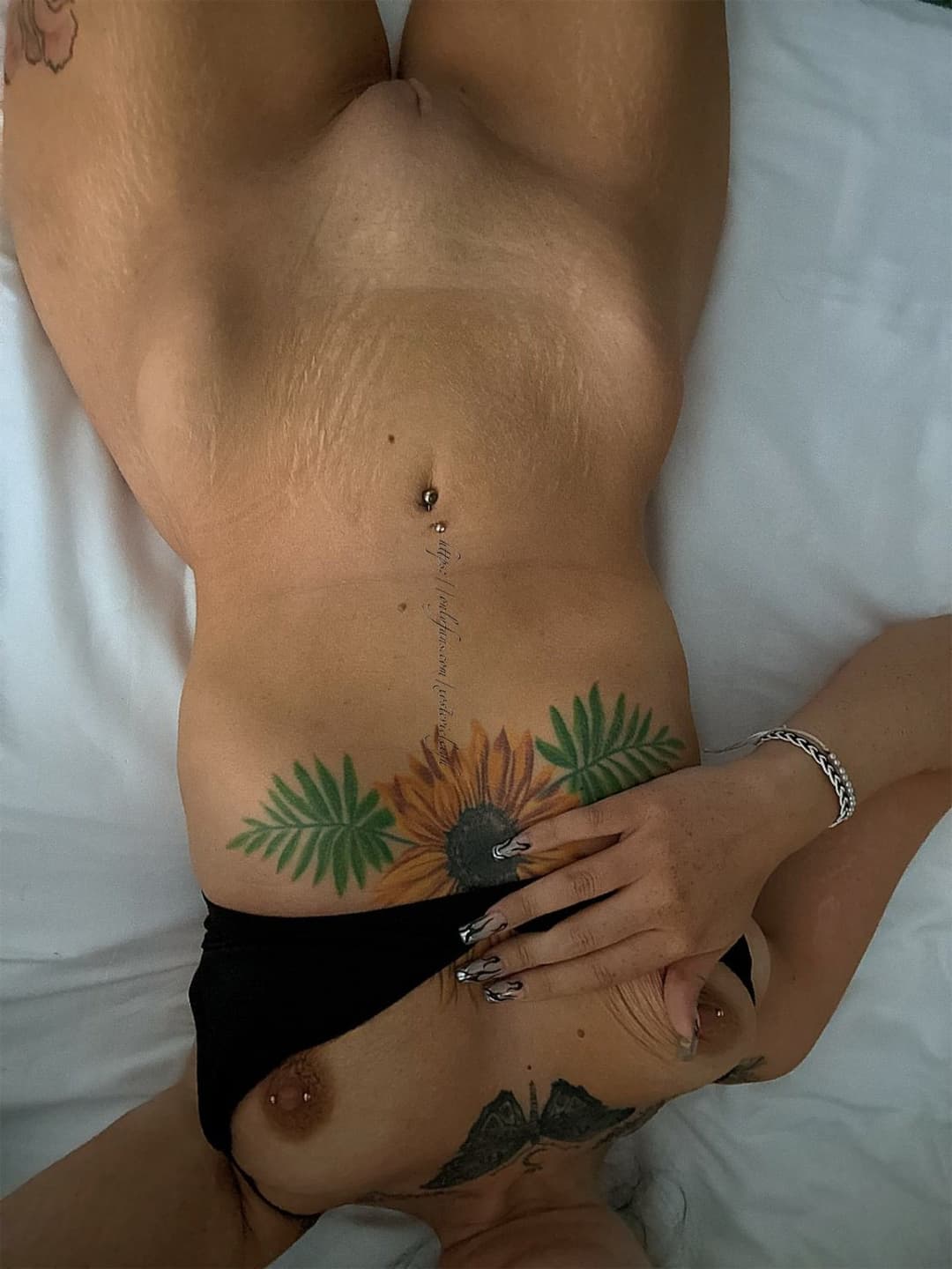 Click to view full size Stevie