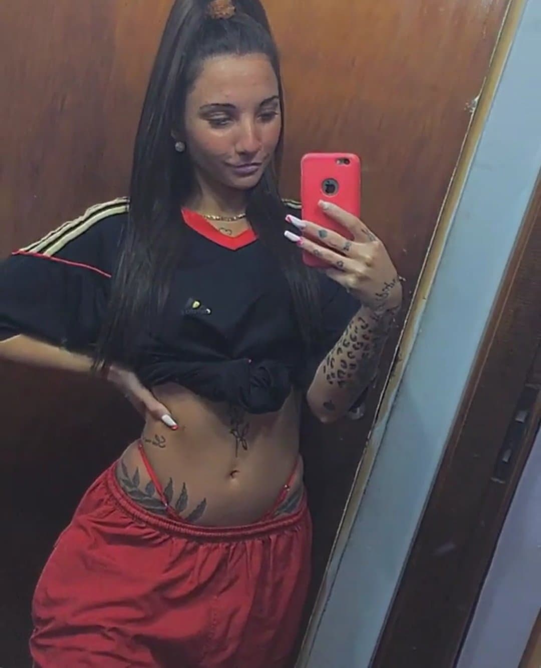 Anycorrea mocha Argentina ??