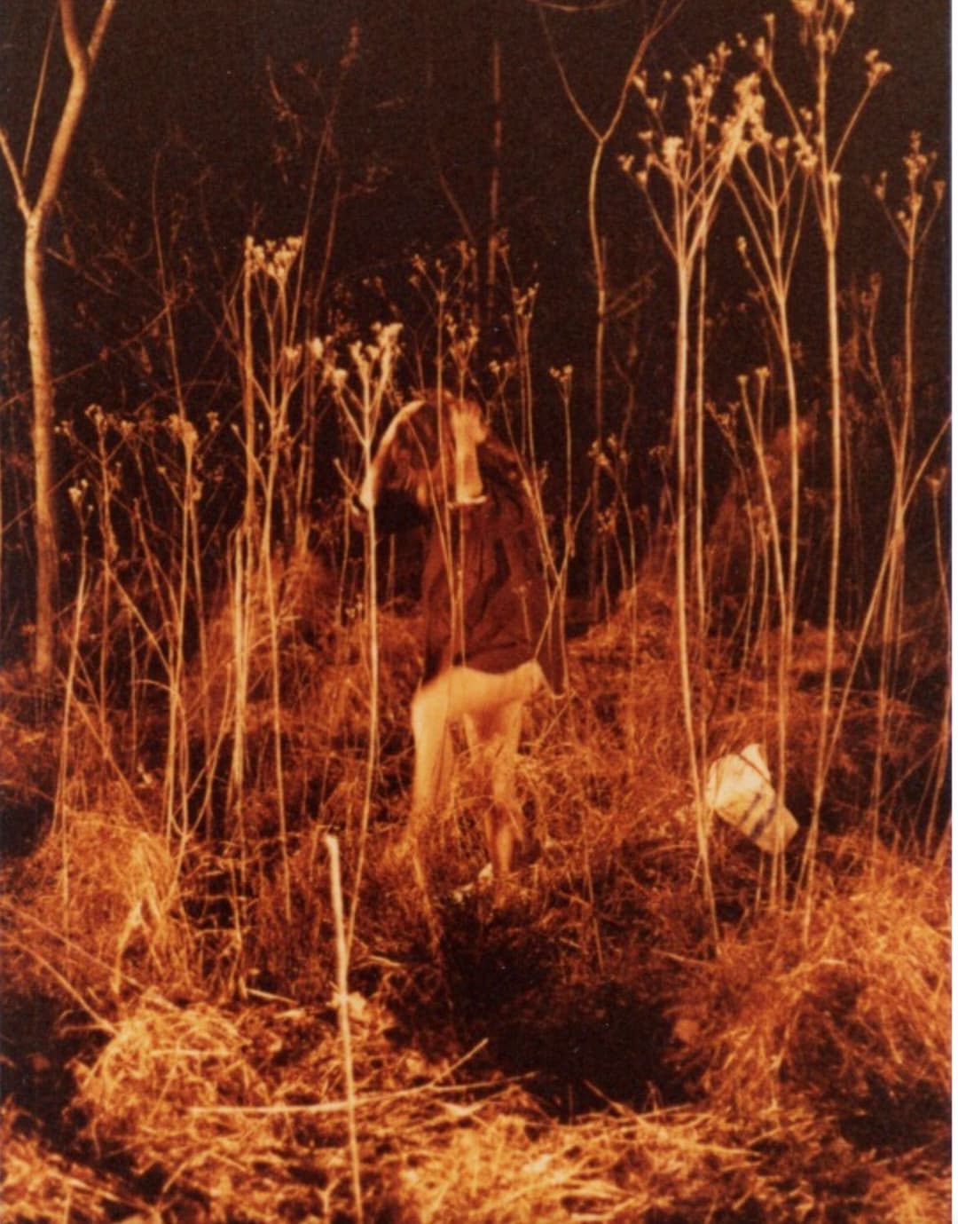 The Trees! They’re Alive!!! (Part 3)