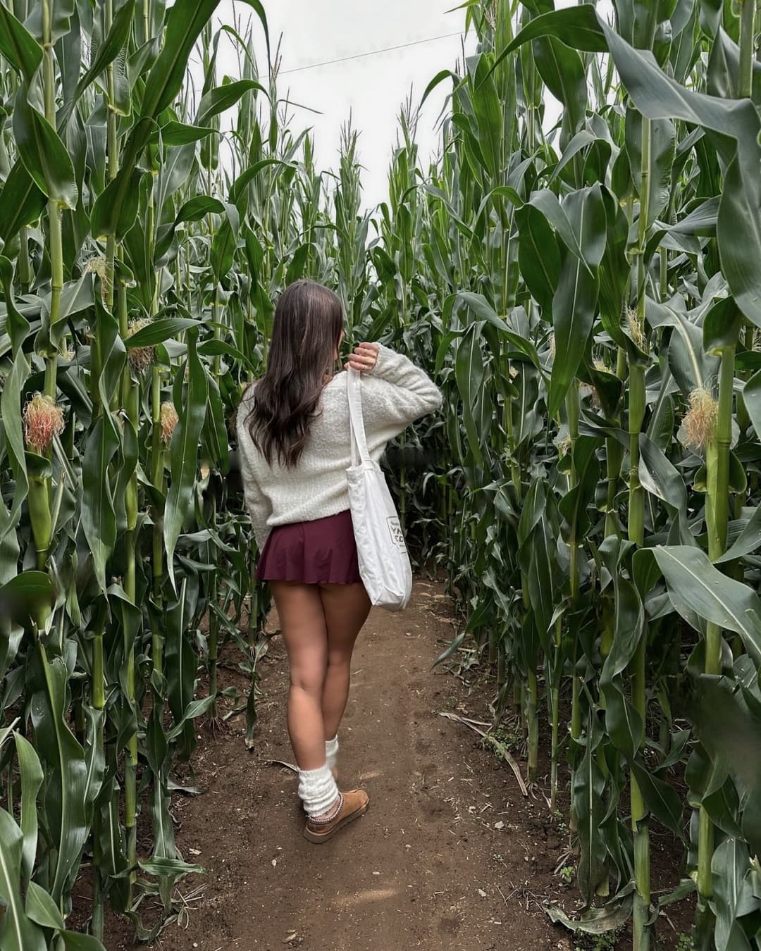 Friends that thot together stay together