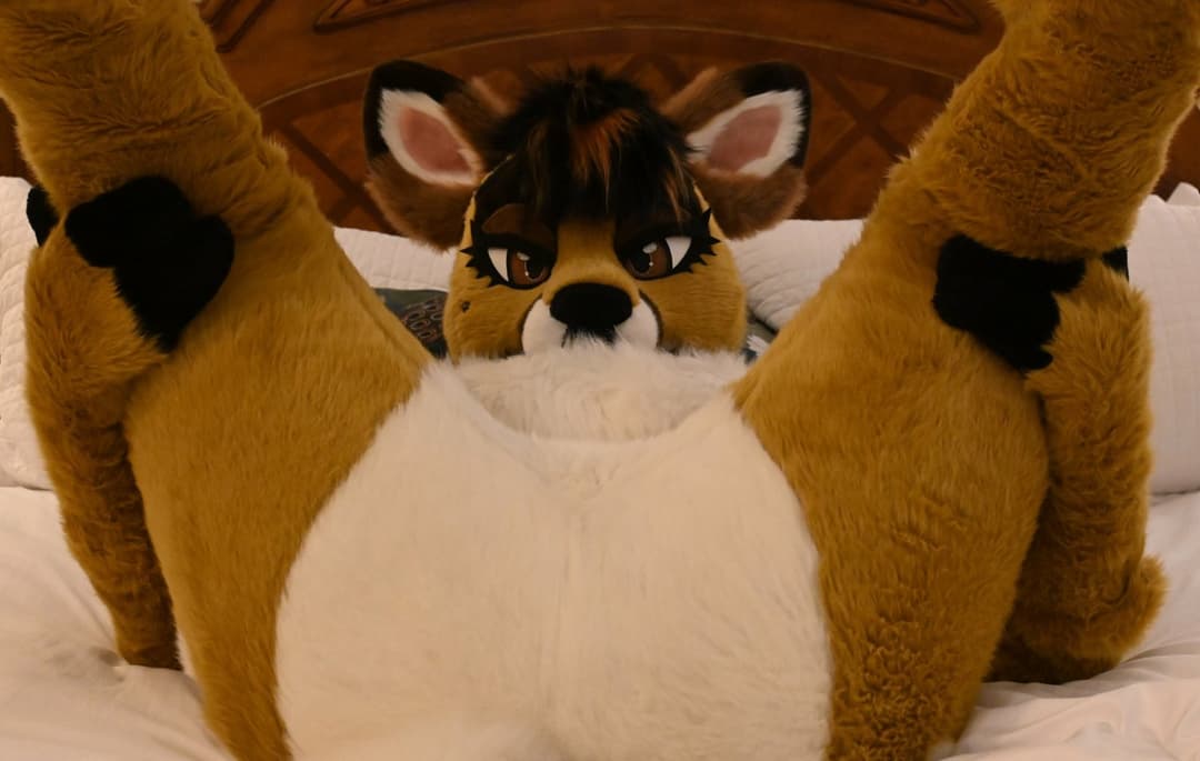 [FURRY/GAS] ?? deer fursuiter teasing and having gas (ļôťûșľâfâŵń/jǎčķâļșťŷļê)