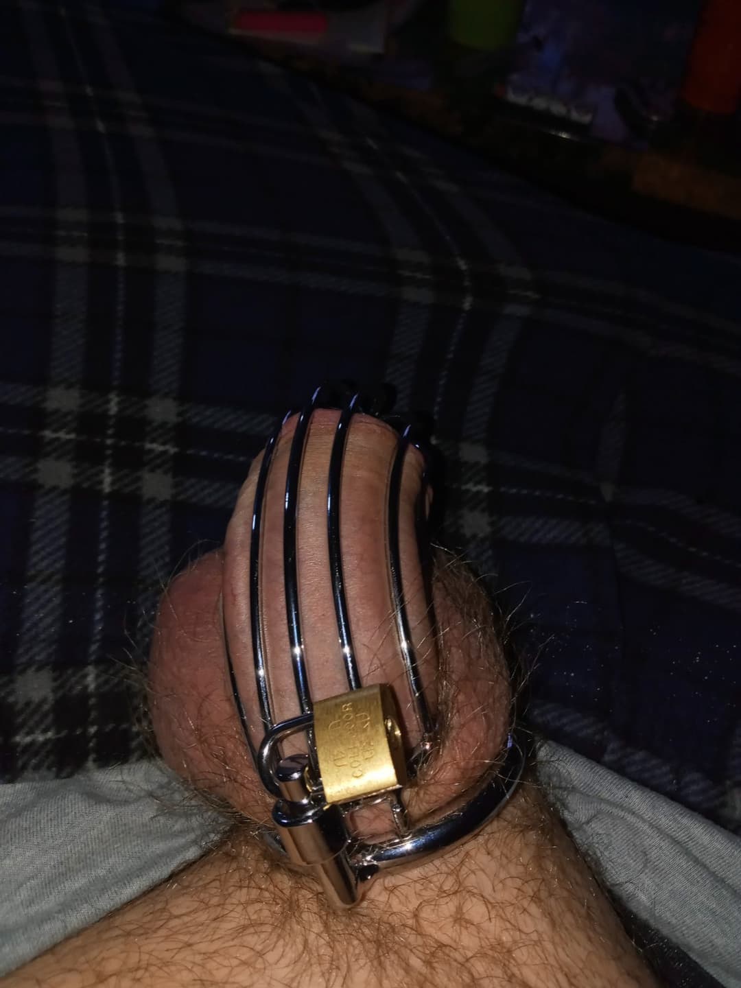 My sissy cuckolds gf think she should find out?