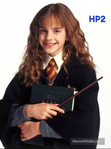 In which Harry Potter was hermione the best no wrong answers