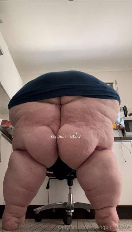 ssbbw penguin