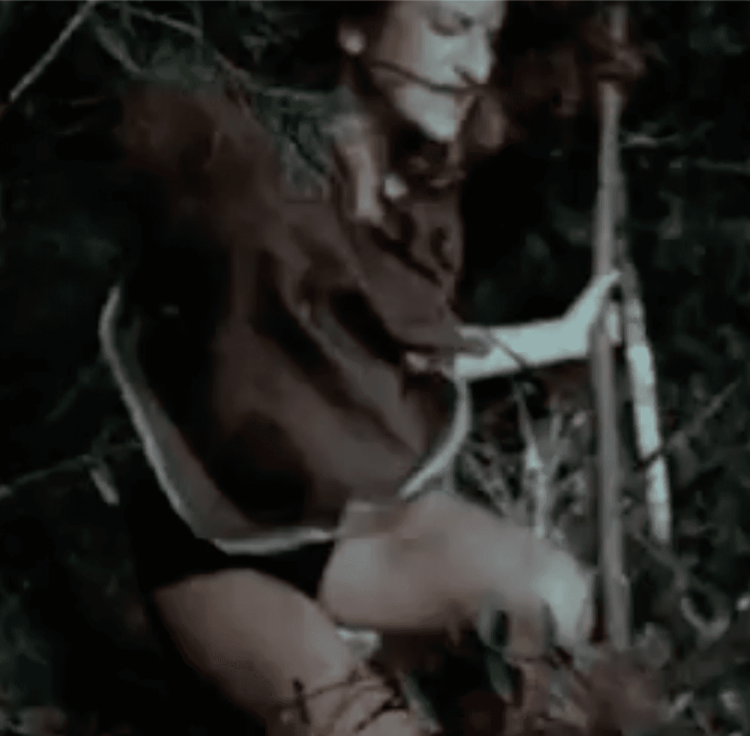 The Trees! They’re Alive!!! (Part 3)