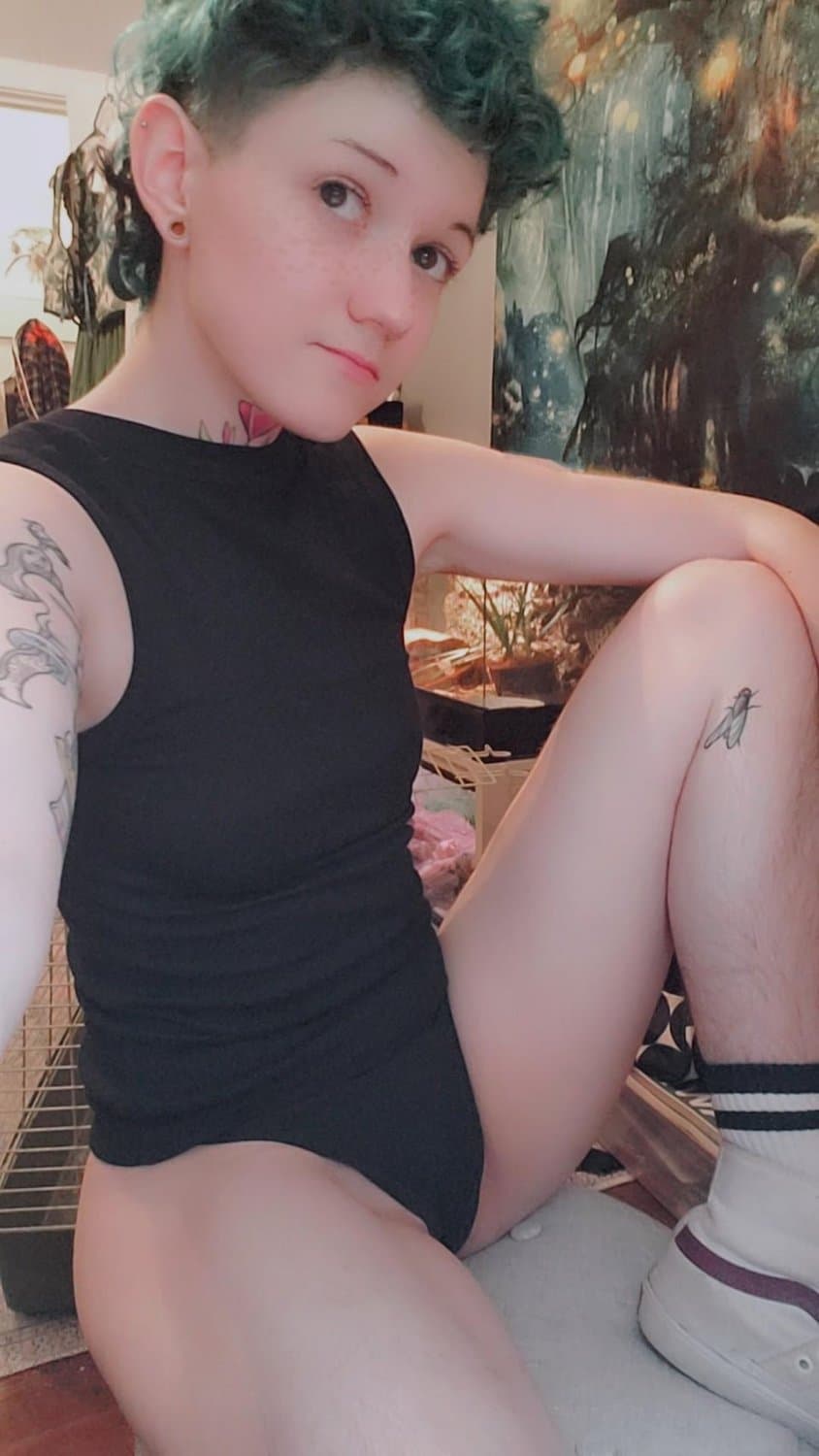 White Stud Dyke Lil Fox