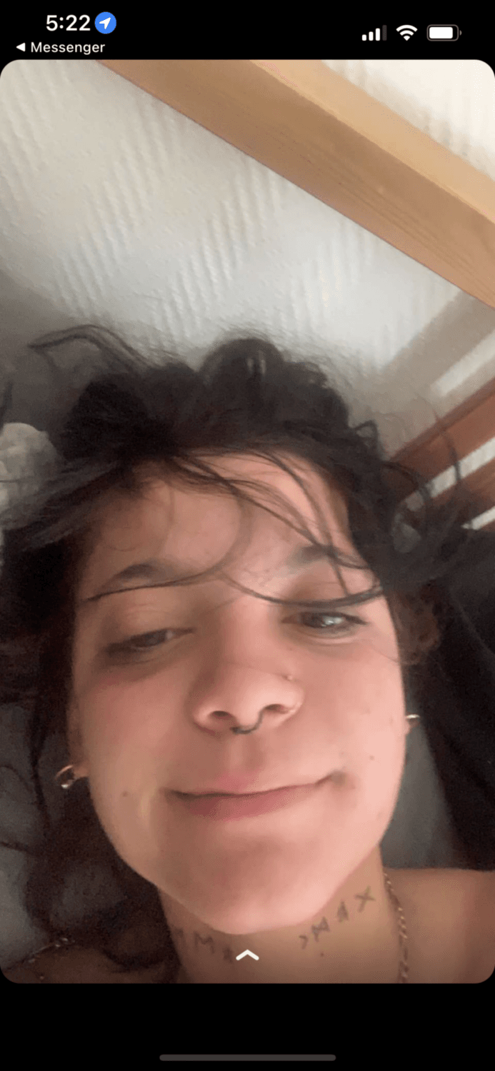 Click to view full size Salope de Lyon