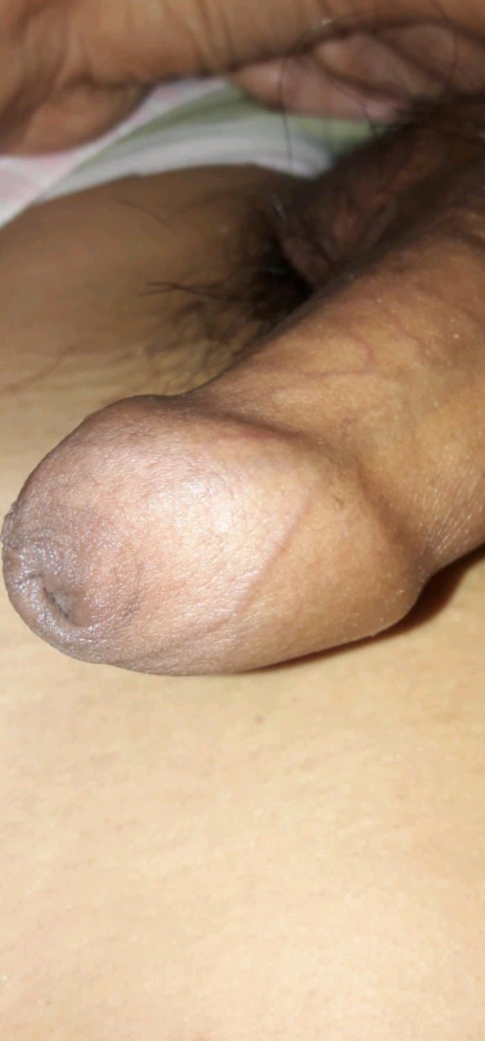 I want these cute cocks.