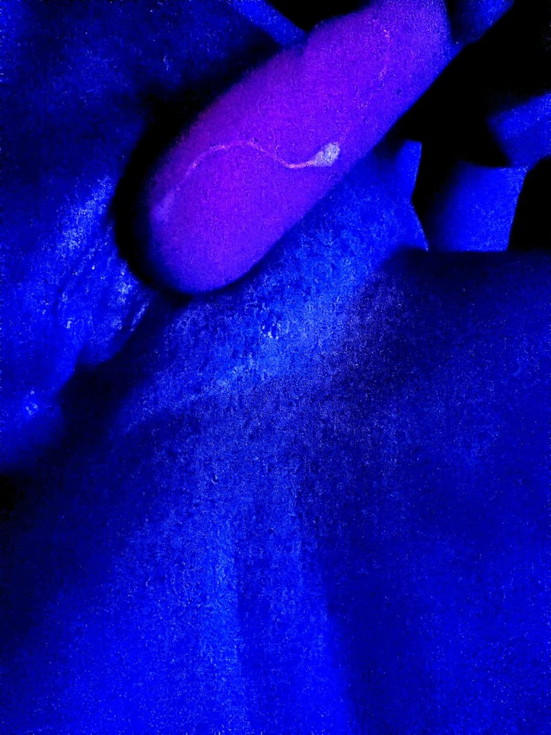 Hairy Thick Web Slut Latina Phat Pussy Spread Big Booty