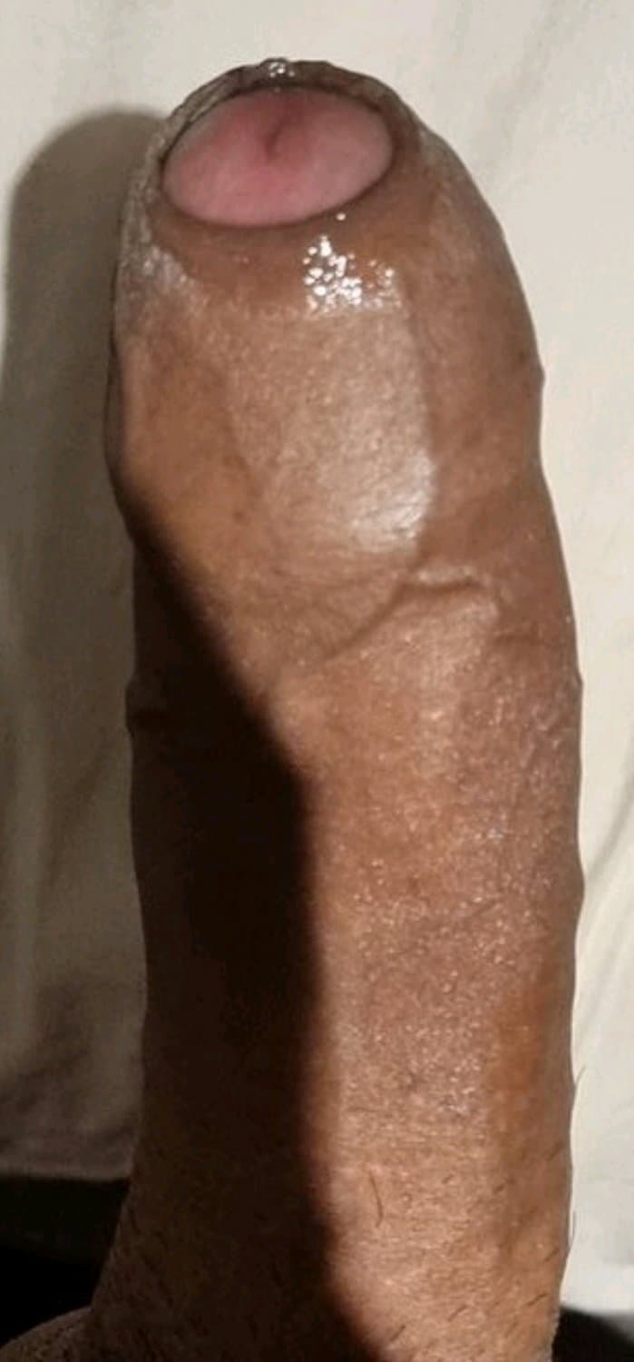 I want these cute cocks.