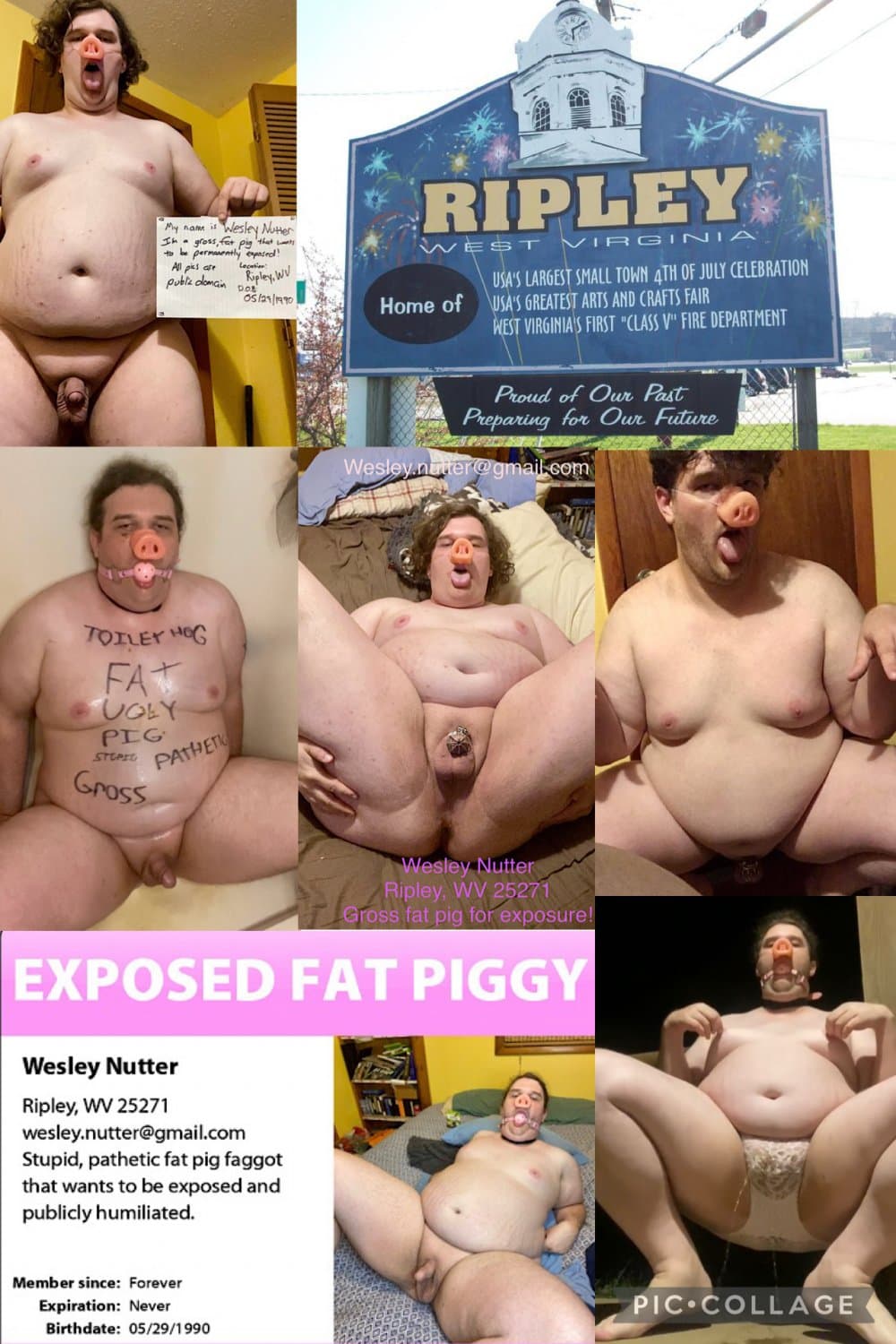 Wesley Nutter fat ugly pig faggot from Ripley WV public domain exposure