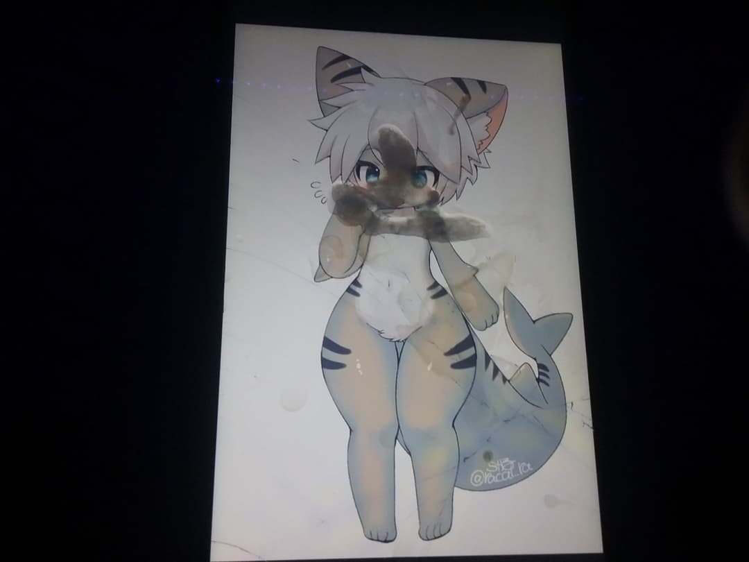 noclean trib for changed shark! :3