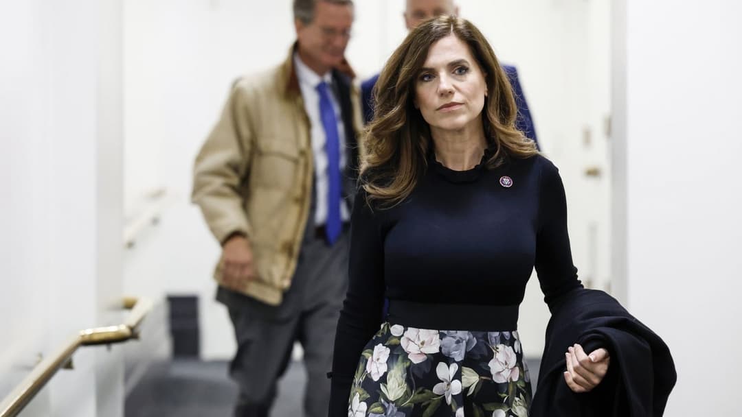 Nancy vs Nancy (Big Titty Conservative MILF vs Big Titty Liberal GILF)