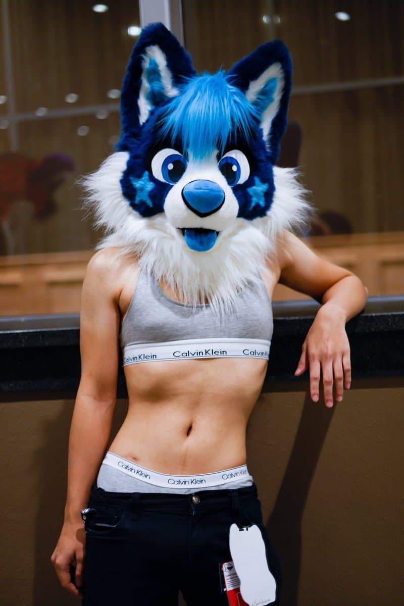 [FURRY] ??? vietnamese nonbinary femboy with a cute face (ņöväfłüffÿħüşķŷ)