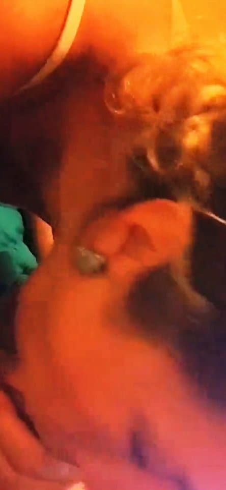 Wife amateur wife sucking cock