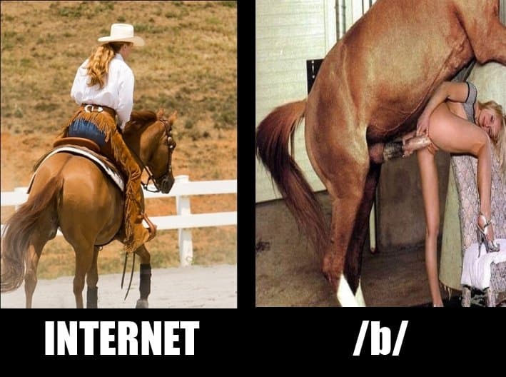 Fuck it, straight UP horse sex! God I love horse cocks