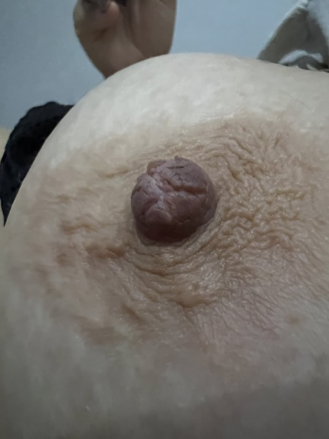 Perfect Natural Tits Boobs