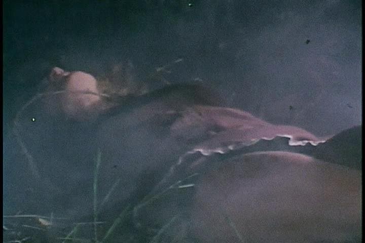 The Trees! They’re Alive!!! (Part 3)