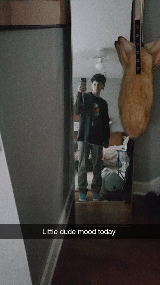 White Stud Dyke Lil Fox