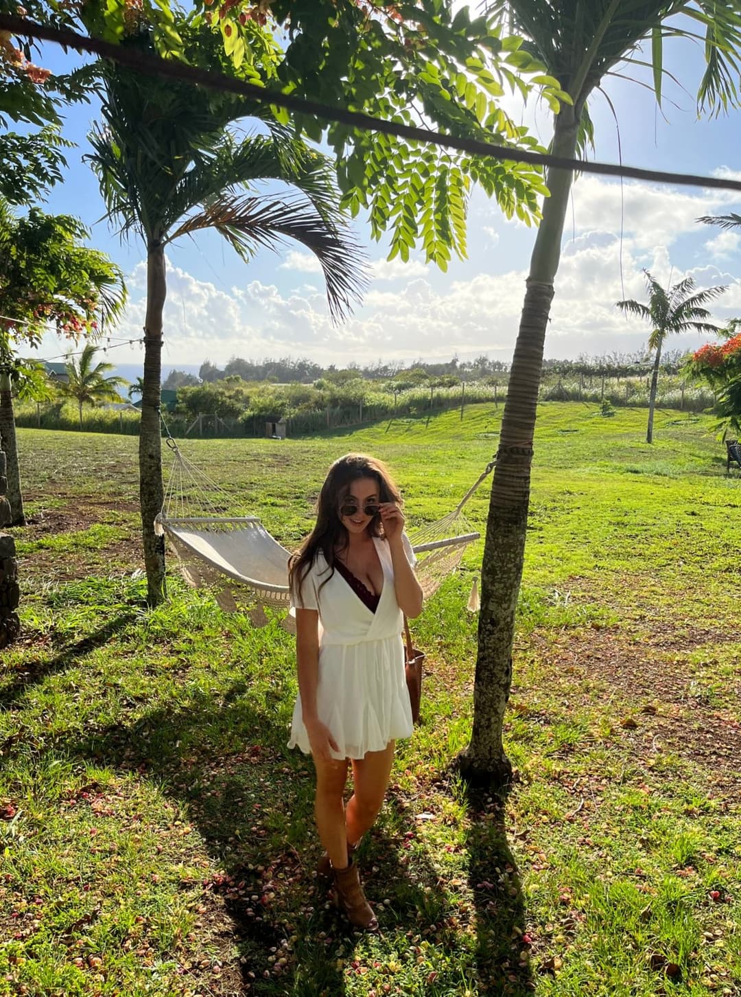 Palm trees, good vibes, and a little bit of sunshine