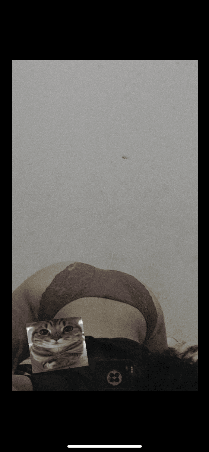 Mexicana pack filtrado kazumi